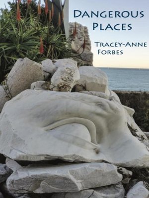 cover image of Dangerous Places